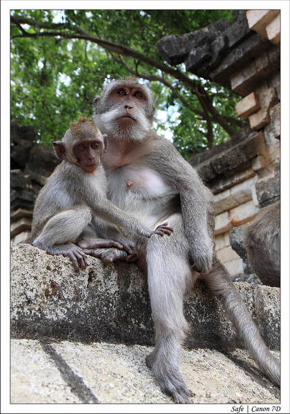 2012 - 07 - Bali - 05